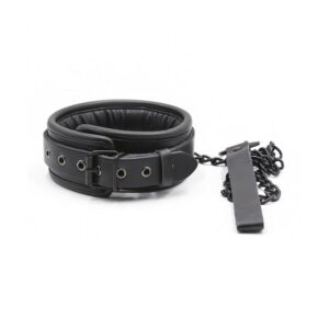 Collier Epais + Laisse