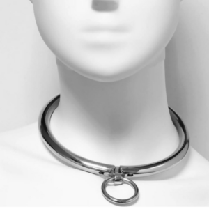 Collier d'appartenance 10.5cm avec anneau et fermeture par code