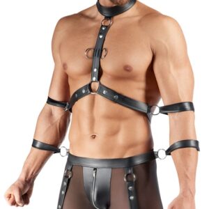 Ensemble boxer/harnais avec contrainte
