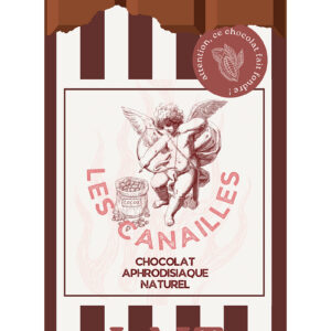 Chocolat au lait - Tablette 100g - Les canailles