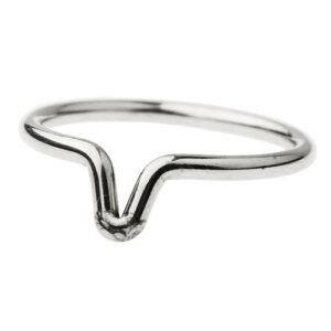 Anneau de gland Vidick