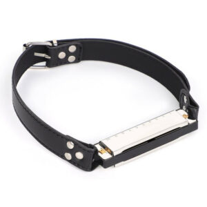 Bâillon harmonica Music Gag Argent ou doré