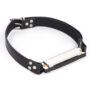 Bâillon harmonica Music Gag Argent ou doré - Argent