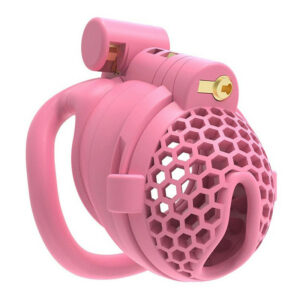Cage avec Picots Hombick 6.5 x 3.2 cm Rose