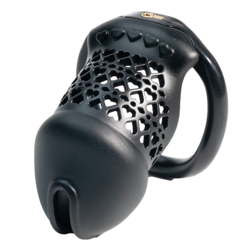 Cage Fivheart 8 x 3.2 cm Noire
