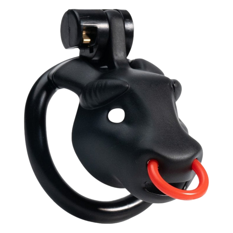 Cage Minodick 6 x 3 cm Noire – Image 5