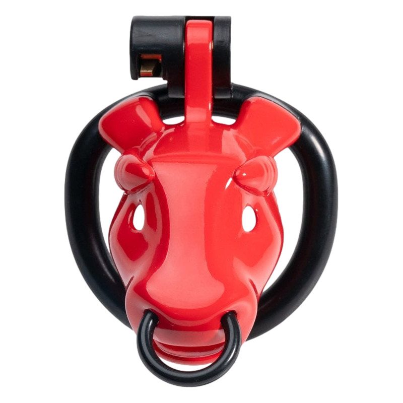 Cage Minodick 6 x 3 cm Rouge – Image 4