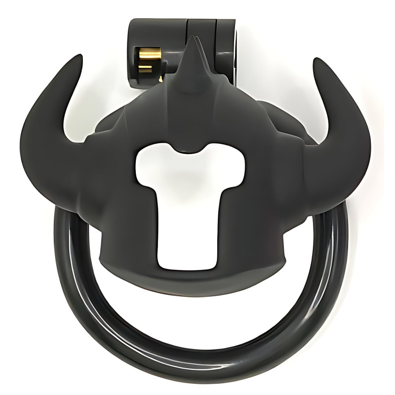 Cage Caskaur 5 x 3 cm Noire – Image 2