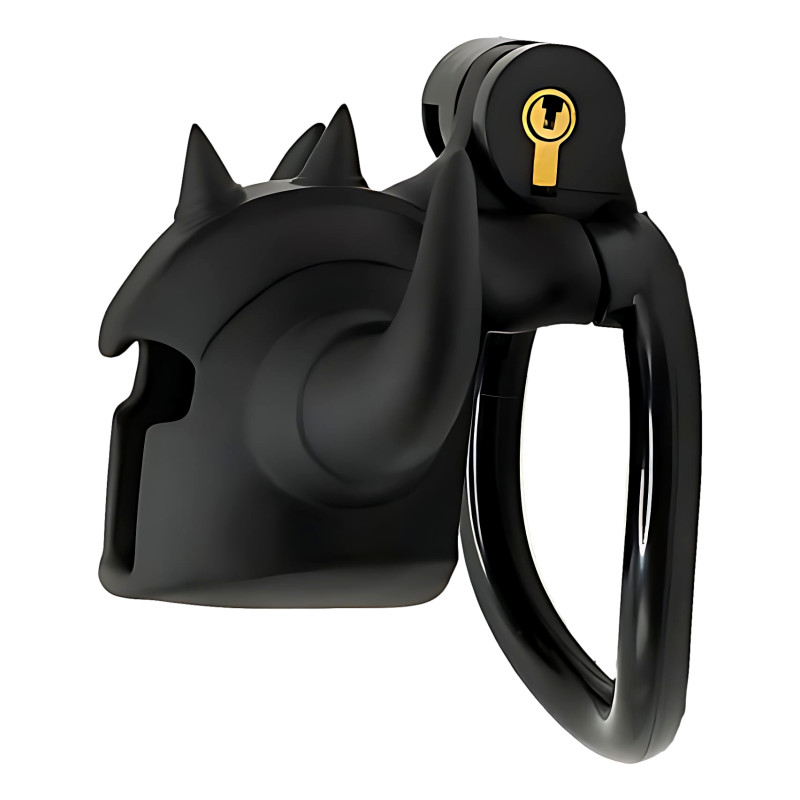 Cage Caskaur 5 x 3 cm Noire – Image 3