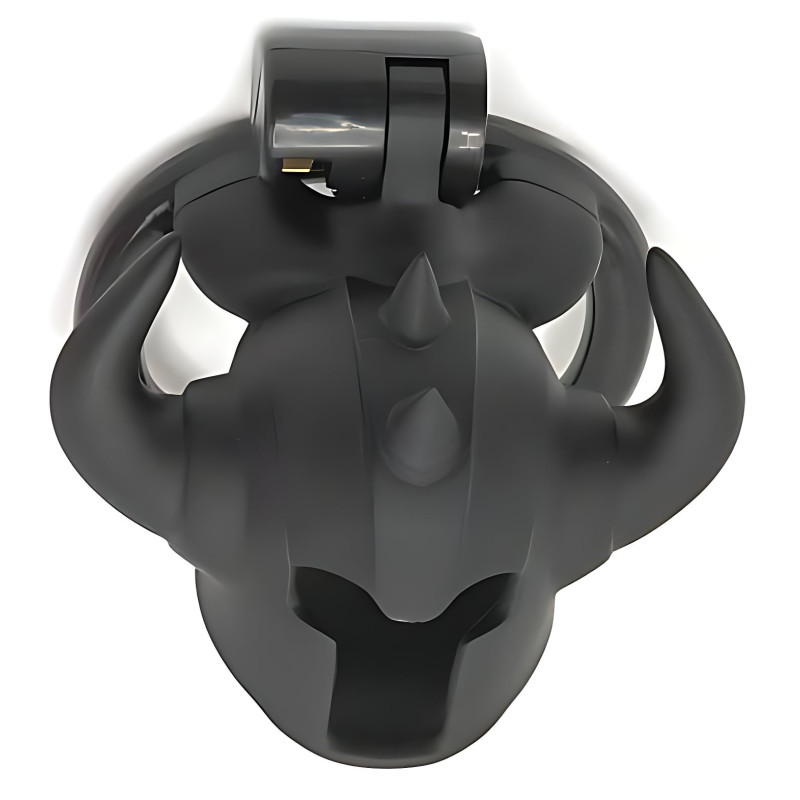 Cage Caskaur 5 x 3 cm Noire – Image 6