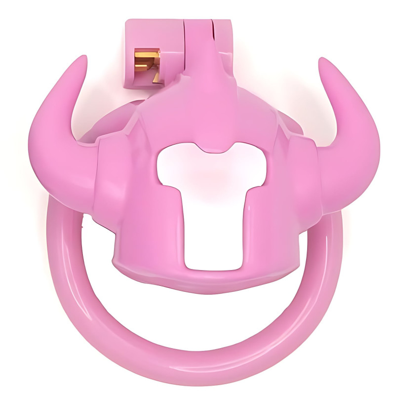 Cage Caskaur 5 x 3 cm Rose – Image 6