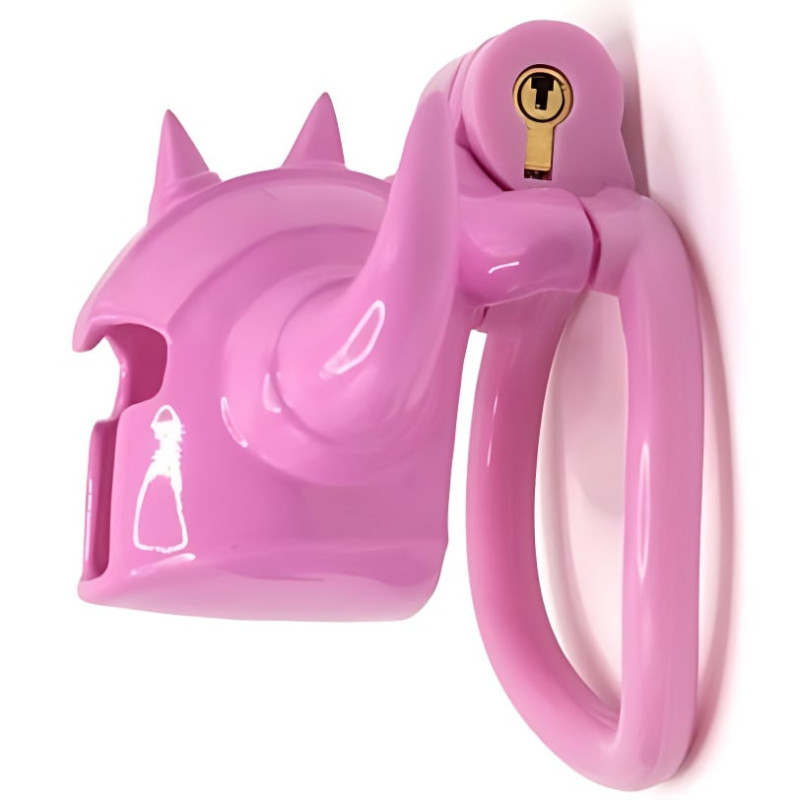 Cage Caskaur 5 x 3 cm Rose – Image 5