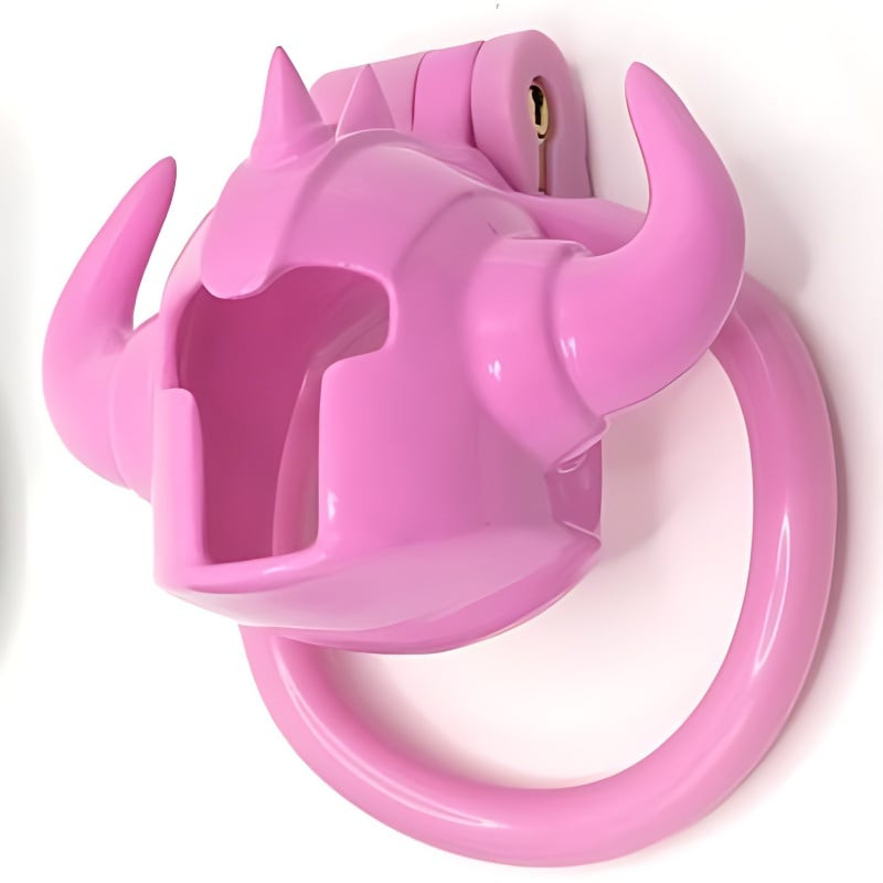 Cage Caskaur 5 x 3 cm Rose – Image 4