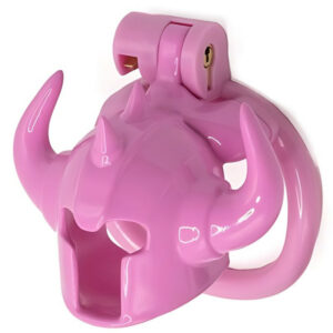Cage Caskaur 5 x 3 cm Rose