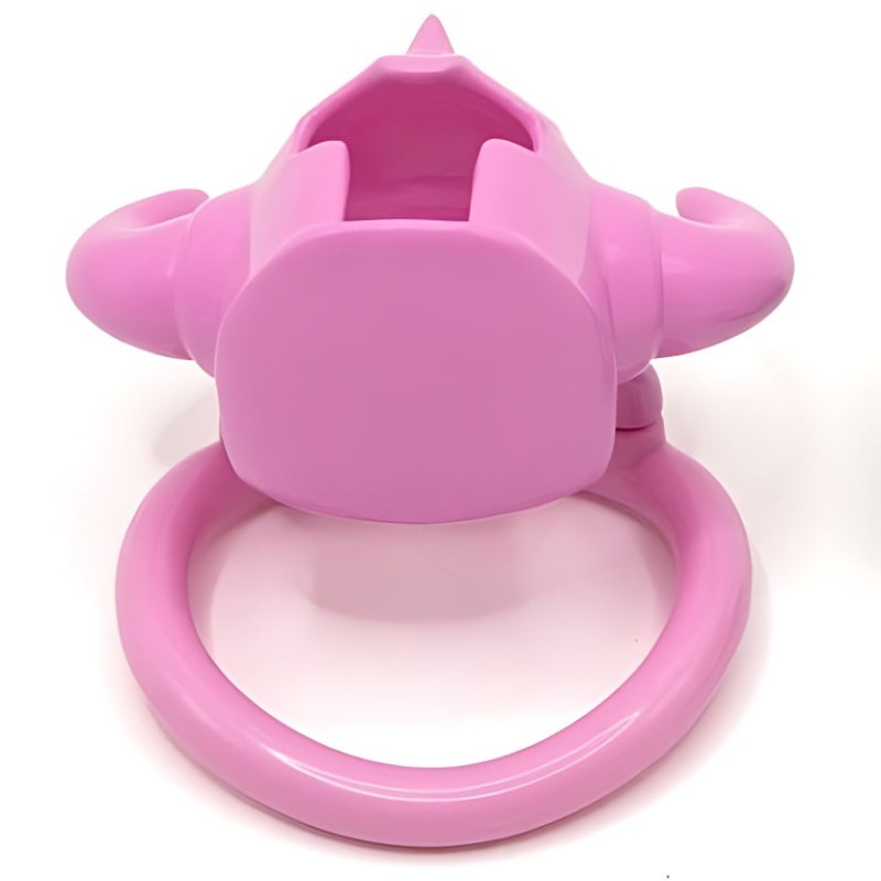 Cage Caskaur 5 x 3 cm Rose – Image 3