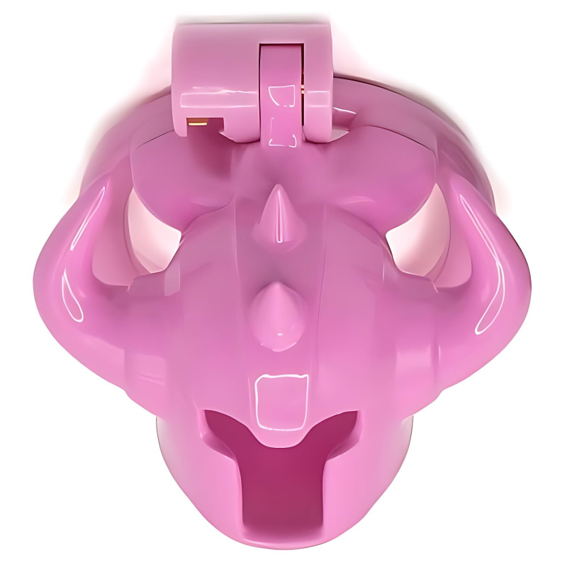 Cage Caskaur 5 x 3 cm Rose – Image 2