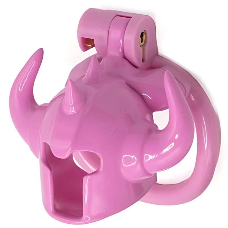 Cage Caskaur 5 x 3 cm Rose